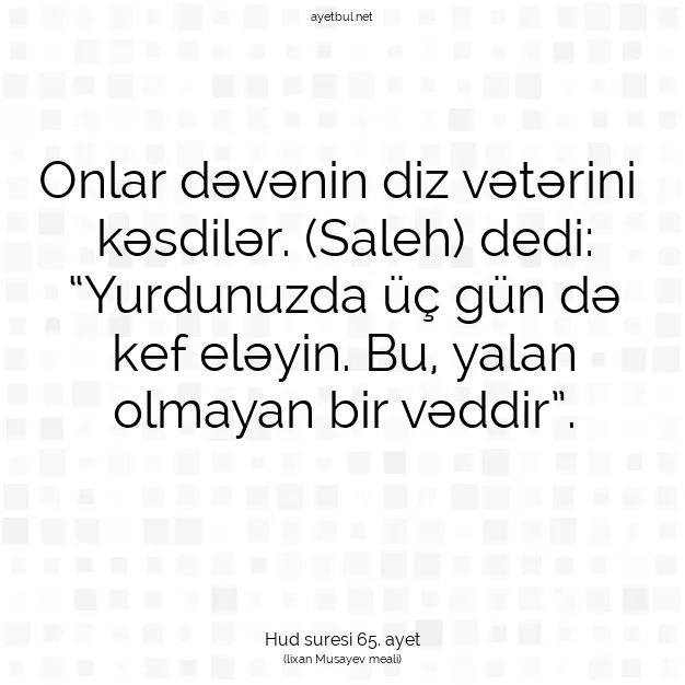 Ayetbul | Kuran Mealleri | Quran | Hud suresi 65. ayet