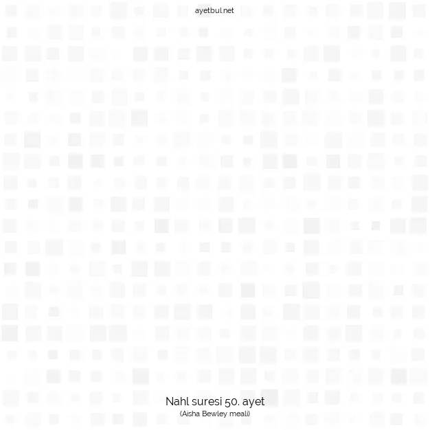 Ayetbul | Kuran Mealleri | Quran | Nahl suresi 50. ayet