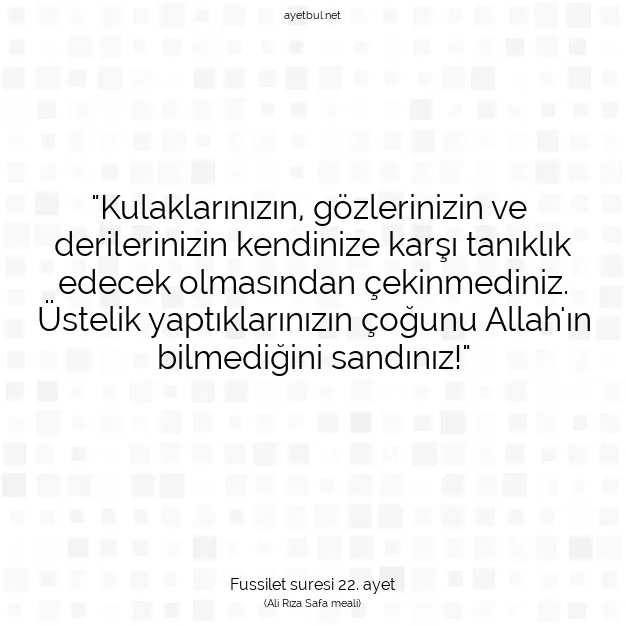 Ayetbul | Kuran Mealleri | Quran | Fussilet suresi 22. ayet