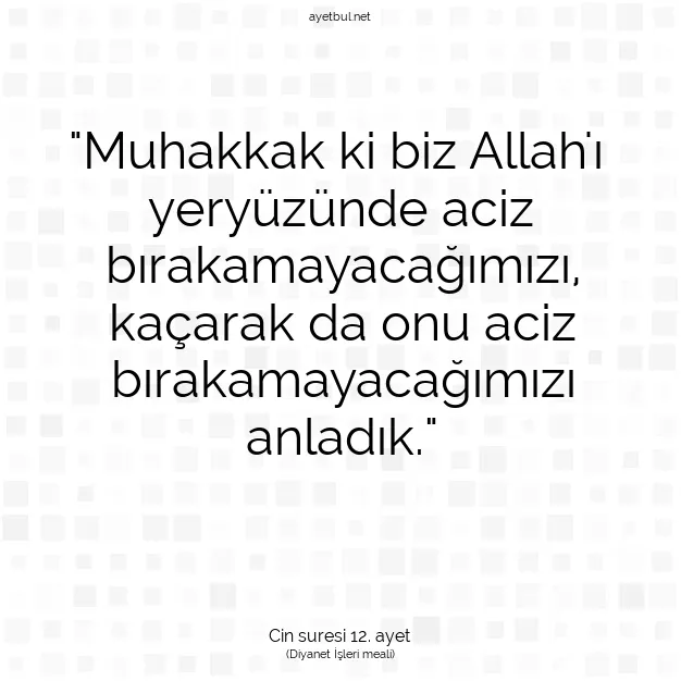 Ayetbul | Kuran Mealleri | Quran | Cin suresi 12. ayet
